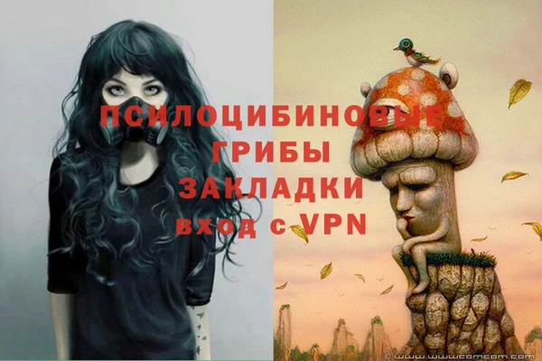 прущие крисы Верхний Тагил